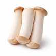King Oyster Mushroom 250G