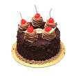 Seasons Forest Cake (2KG)