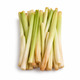 Reedmace (Pate Swal)
