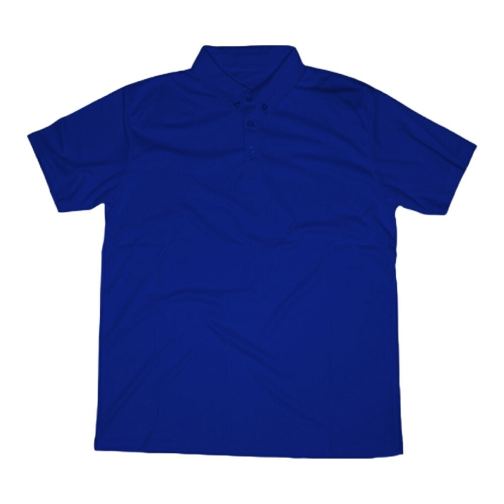 Tee Ray Classic Polo  MPP-S101-08(M)