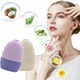 Beauty House Silicone Ice Face Roller (1PC Random)