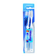 Berman Toothbrush Pride (Twin Pack)