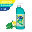 Elan Dishwashing Liquid Antibacteria With  Pump 1.1KG