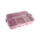 4 Compartment Lunch Box (Random)