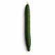 Japanese Cucumber 500G