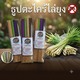 Beauty House Natural Lemongrass Mosquito Repellent Incense Sticks