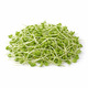 Organic Sunflower Sprouts 180G