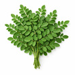 Moringa Leaves