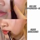 Lip Brush