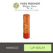 Yves Rocher Lip Balm Mango - Stick 4,8G - 67239