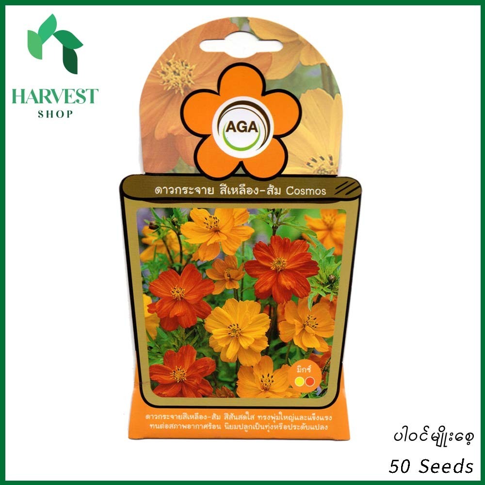 Harvest Shop စိန်ခြယ်ပန်းမျိုးစေ့ A 007
