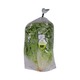 City Farm Lettuce