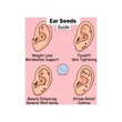 Beauty House Ear Seeds Massage Sticker 600PCS