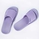Ipanema Anat Classic Slide Fem (No-7) Lilac/Lilac 183583BE63007