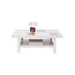 Index Decor -P Coffee Table WT