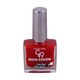 Golden Rose Rich Nail Lacquer One Step 10.5ML 11