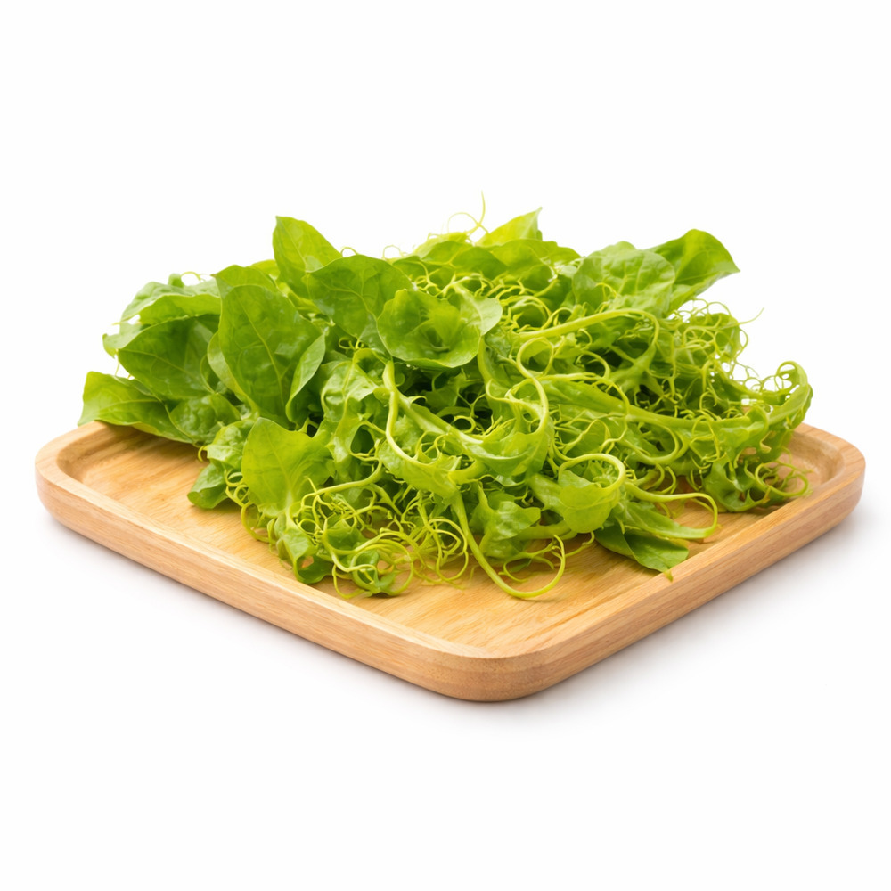 ‌ဂေါ်ရခါးညွန့် (ဆူကာညွန့်) (၁ စည်း)