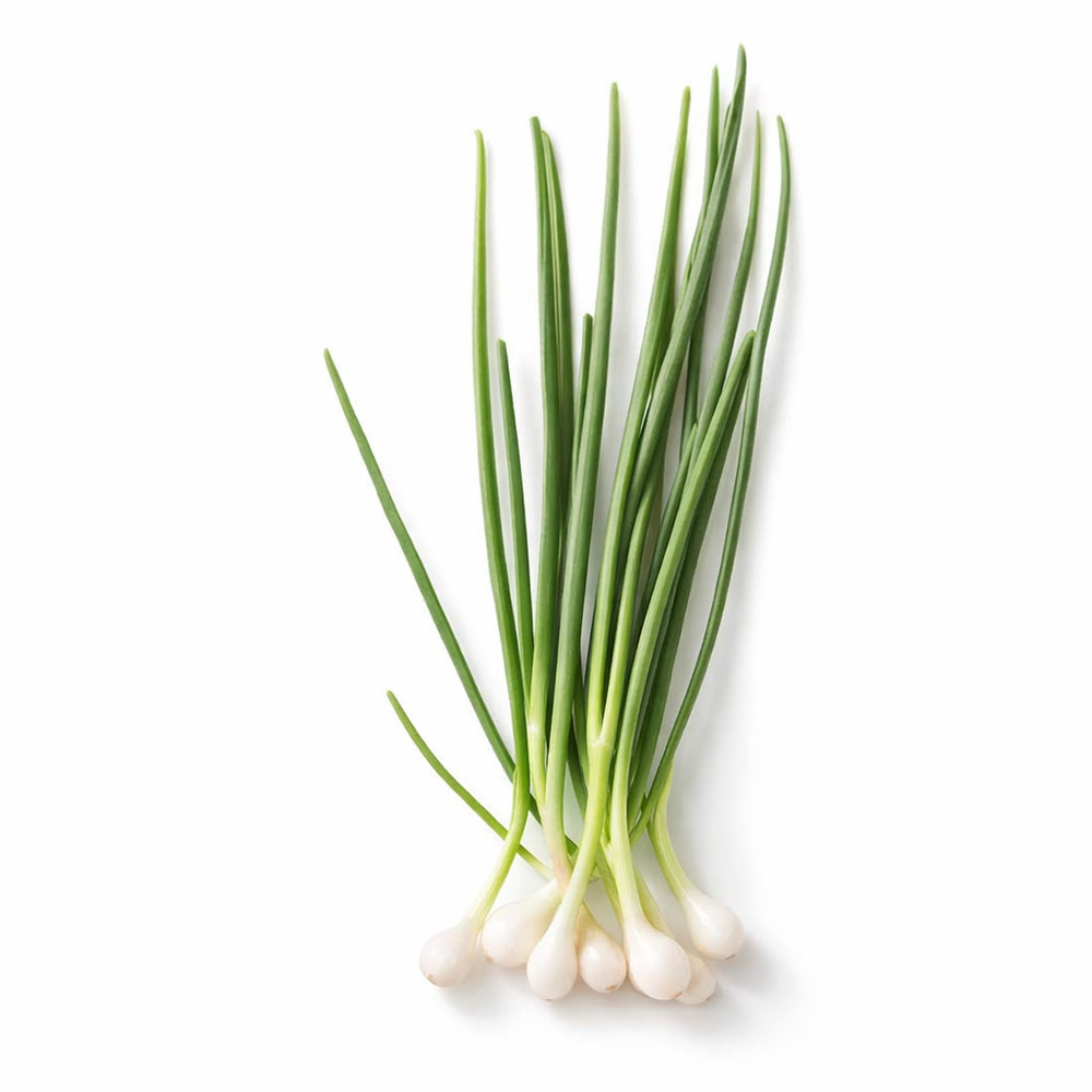 City Farm Spring Onion 60G