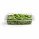 City Farm Italian Basil 30G