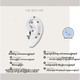 Beauty House Ear Seeds Massage Sticker 600PCS