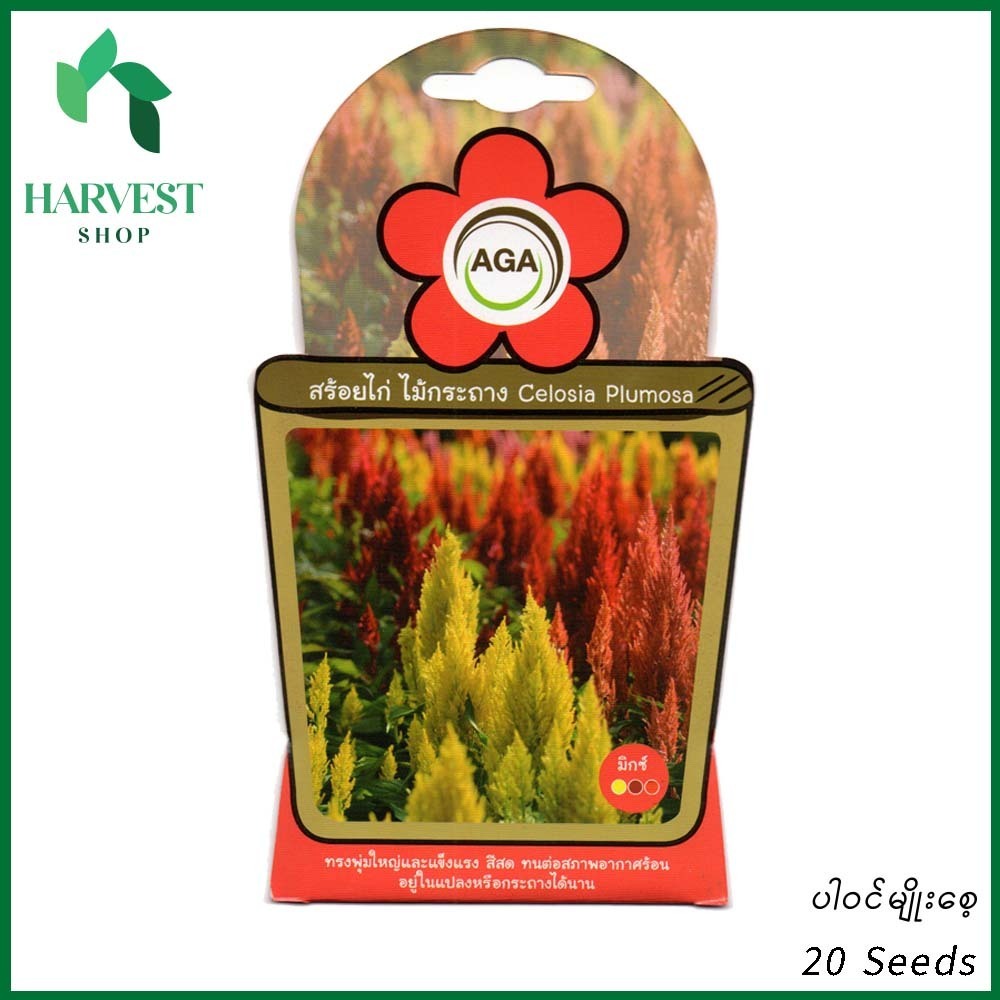 Harvest Shop ကြက်မောက်ပန်းမျိုးစေ့ A 008