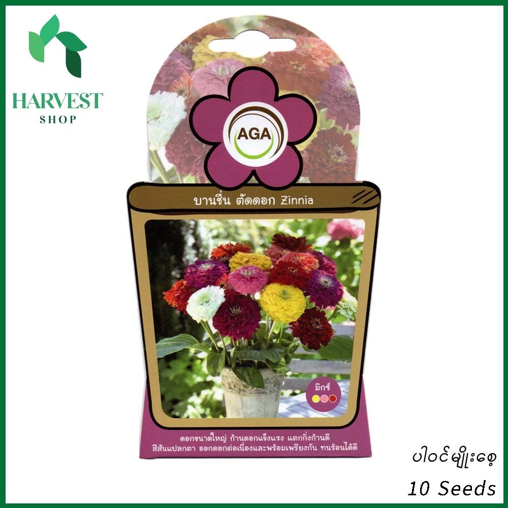 Harvest Shop ဒေါင်းဖန်ဝါမျိုးစေ့ A 016