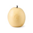CN Snow Pear (B)