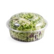 Spring Corner Vege Mix Salad 100G