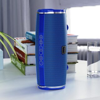 BS40 Desire Song Sports Wireless Speaker/Red