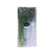 Fresco Flat Parsley 50G
