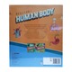 Brilliant Human Body