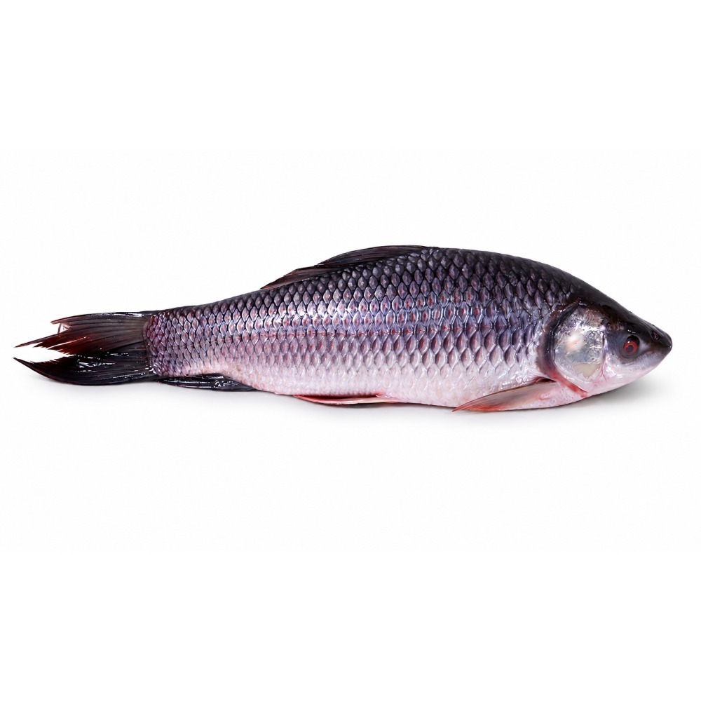 Fresh Nga Myint Chin Whole(950G - 1100G)