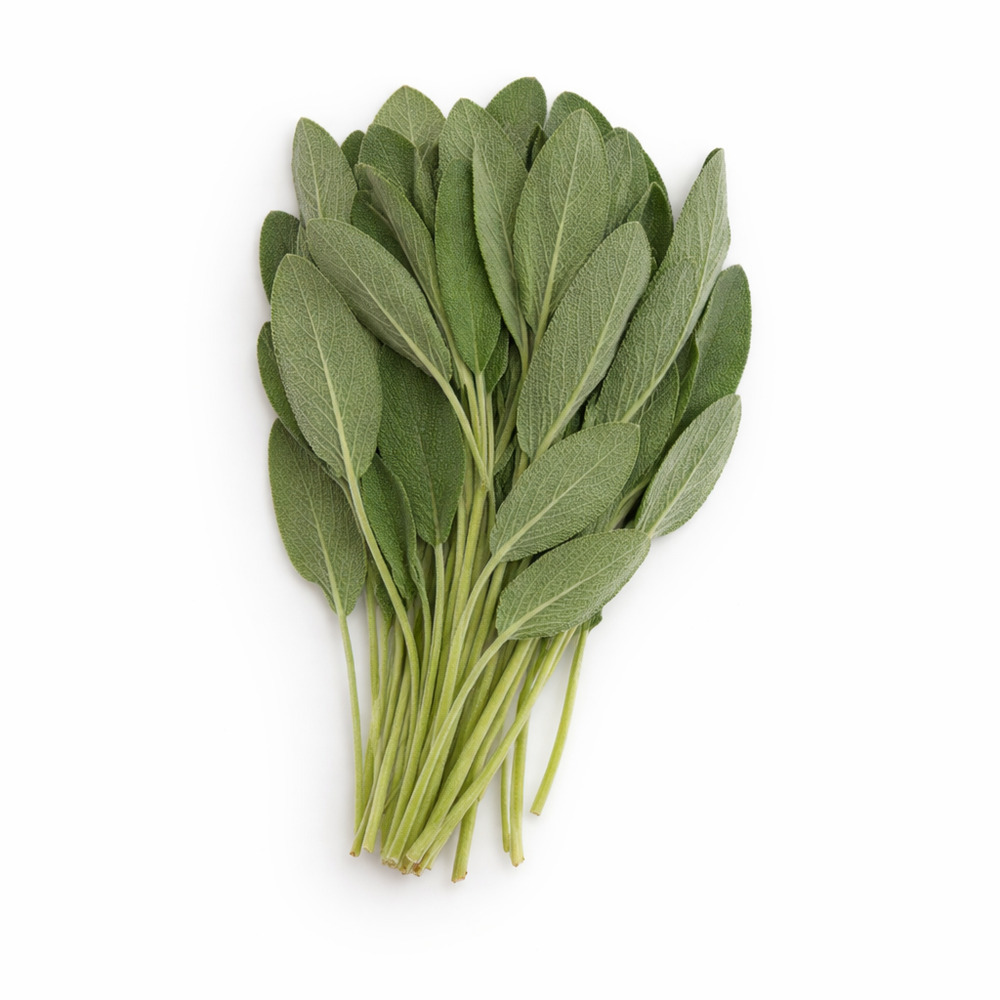 Fresco Sage 30G