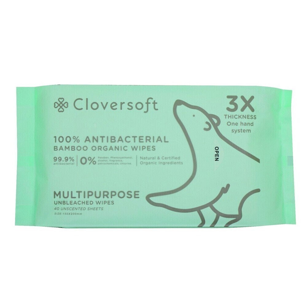 Anti-Bacterial Wipes 40 Sheets