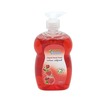 Eco Clean Hand Wash With Pump (Rose) 500ML