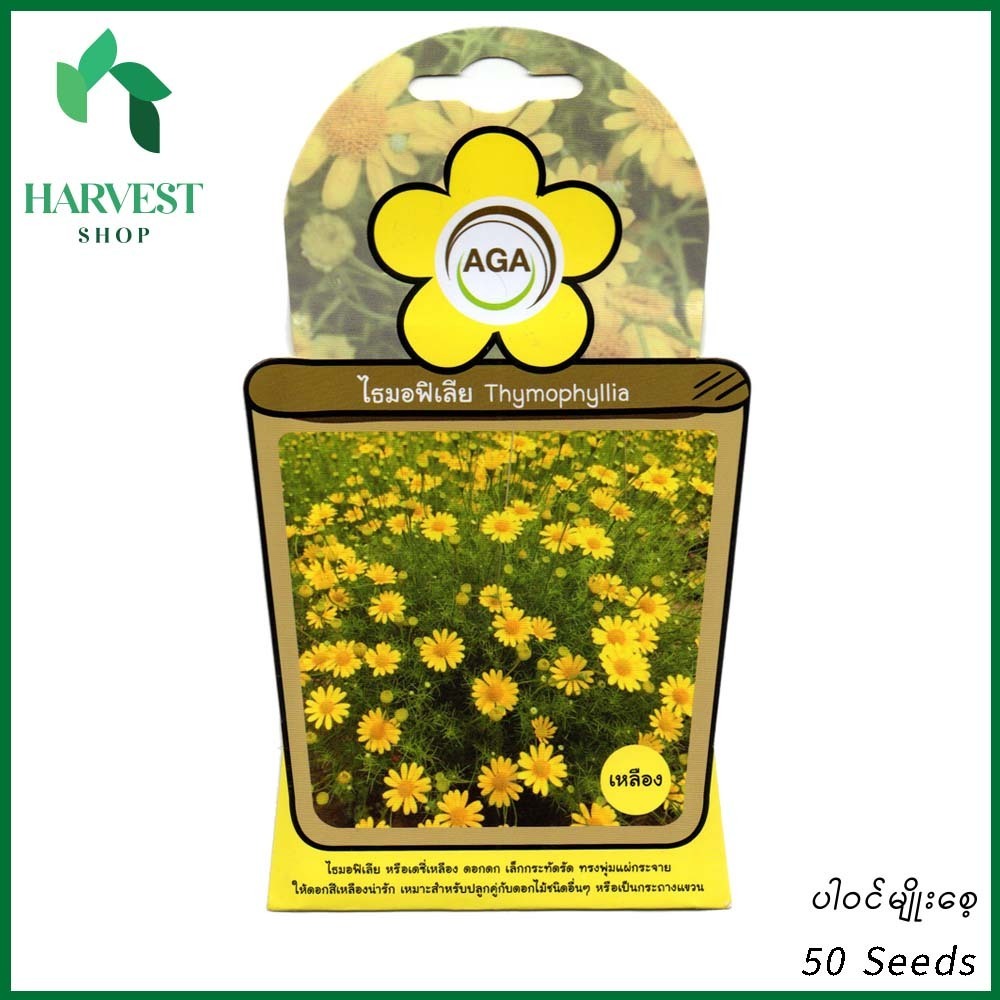 Harvest Shop ဒေစီပန်းဝါမျိုးစေ့ A 019