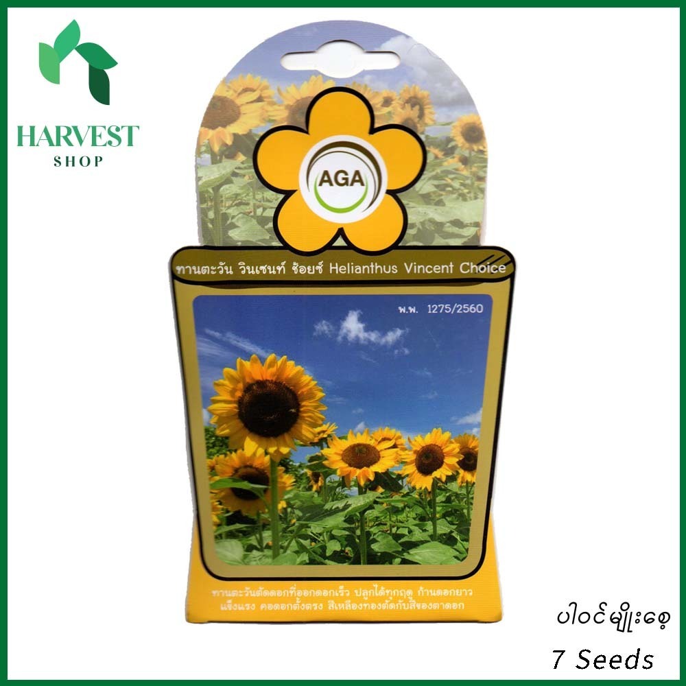 Harvest Shop နေကြာပန်းမျိုးစေ့ A 015