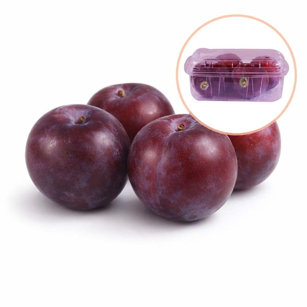 Damson Plum (Pack)