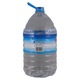 Alpine Purified Drinking Water 10LTR