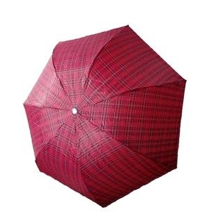 Automatic 3 Fold Umbrella (Design-5)