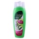 Lovial Green Tea Shampoo Hair Fall Control 350ML