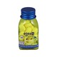 Play More Lemon Sea Salt Sugar Free Candy 22G