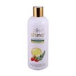 Silk N Shine Shampoo Tea Tree & Gojiberry 340G