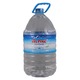 Alpine Purified Drinking Water 10LTR