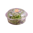 Spring Corner Vege Mix Salad 100G