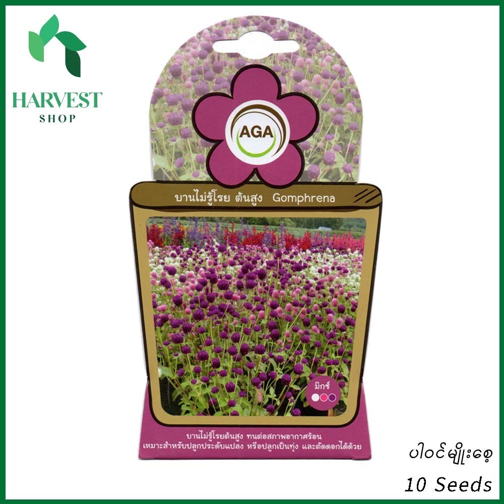 Harvest Shop ဘောလုံးပန်းအရှည်မျိုးစေ့ A 013