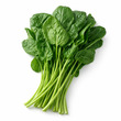 City Farm Green Spinach