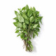 Thai Sweet Basil 50G