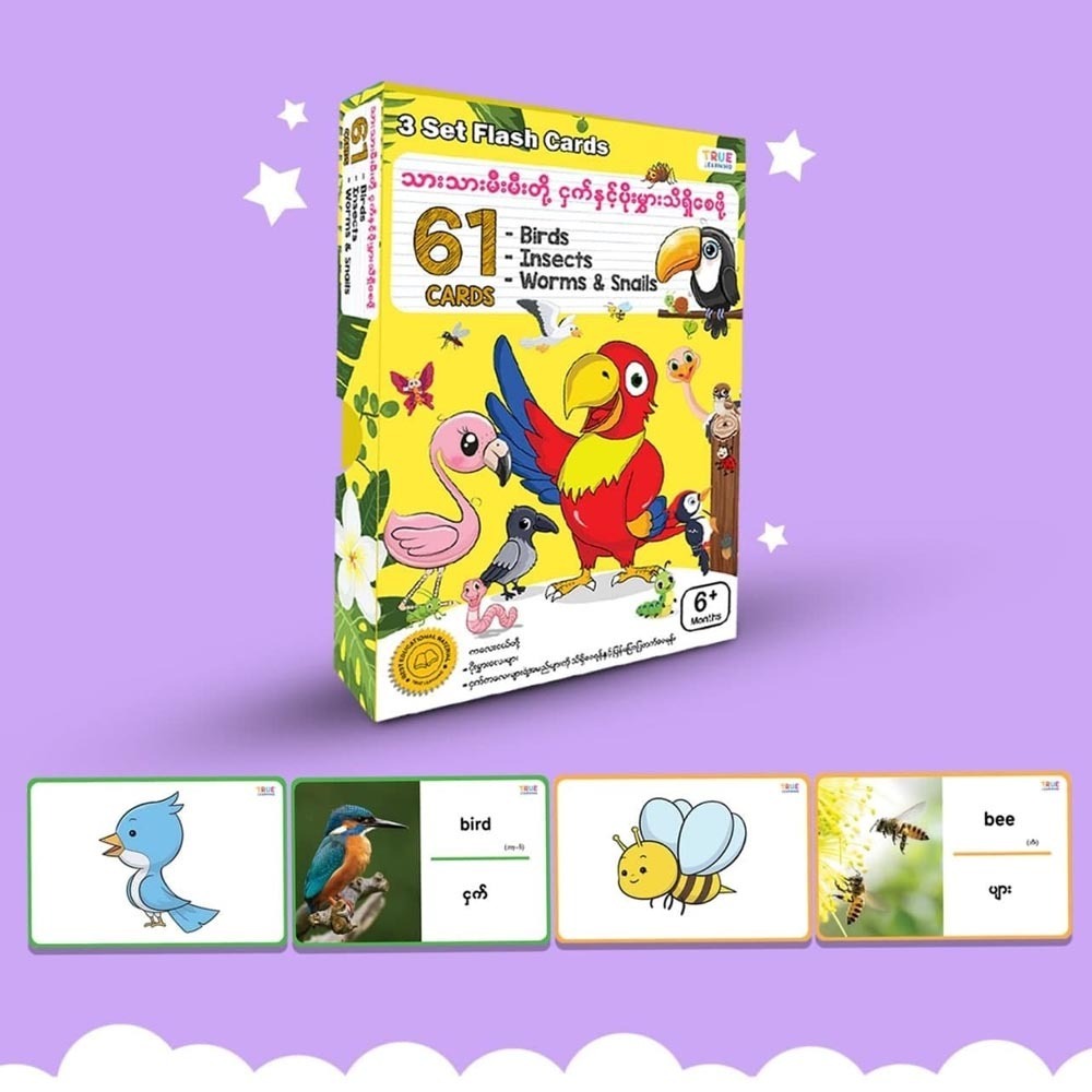 Birds,Insects, Worms & Snails Flashcards