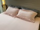 S&J Double Bed Sheet Citrus SJ-01-41